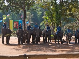 Thailand2009-Elephant_School-004